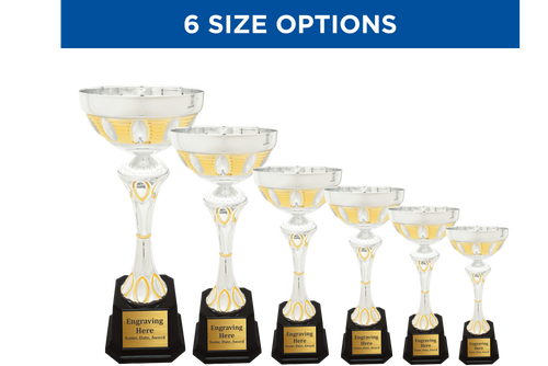 Silver / Gold Standing cup. 6 size options, free engraving, fast turnaround Silver / Gold Standing cup. 6 size options, free engraving, fast turnaround