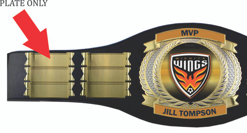 PERPETUAL CHAMPIONSHIP BELT - PLATE ONLY PERPETUAL CHAMPIONSHIP BELT - PLATE ONLY
