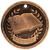 Bronze Honor Roll 3-D Medals
