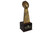 FANTASY FOOTBALL PERPETUAL TROPHY