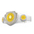 CHAMPIONSHIP BELT BRIGHT FINISH CHAMPIONSHIP BELT BRIGHT FINISH