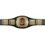 12 plate Perpetual Championship belt with custom printed plates