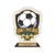Gold Soccer Star Clear Acrylic Trophy Award