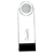 9 1/2" Clear/Black Crystal Standup with 3D Golfer Award