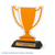 Custom Acrylic Award