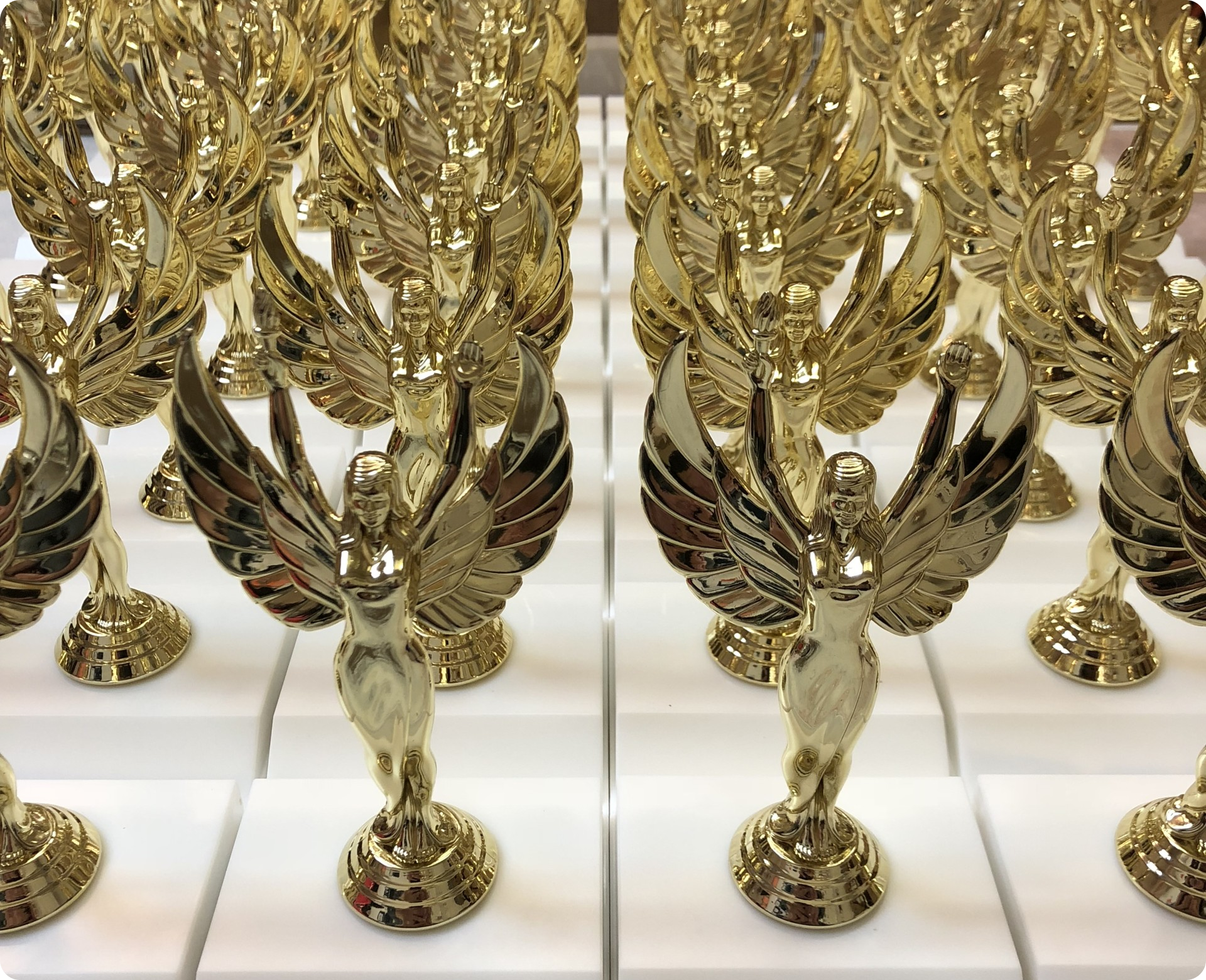 A shelf of trophies