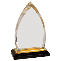 Corporate Acrylic Awards