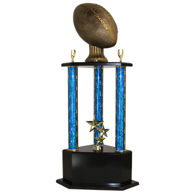 15 Perpetual Fantasy Football Trophy - Gold Cup – Fantasy Champs