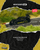 Tarmac Works 1:64 Porsche GT3RS (992.1) MR Black Yellow (T64MC-023-BR) Diecast Car Model Available In November 2026 Pre Order Now