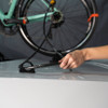 Cable Anchor/Lock Combo 10' - Trunk