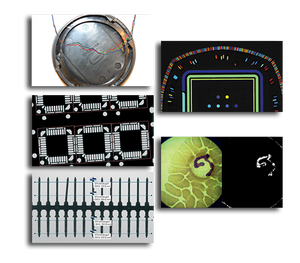 Euresys 4164 Open Inspection Bundle