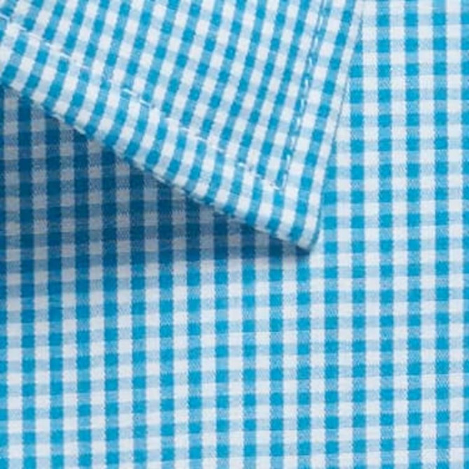 A close-up of a blue and white gingham button-up shirt, featuring a collar and checkered pattern.
