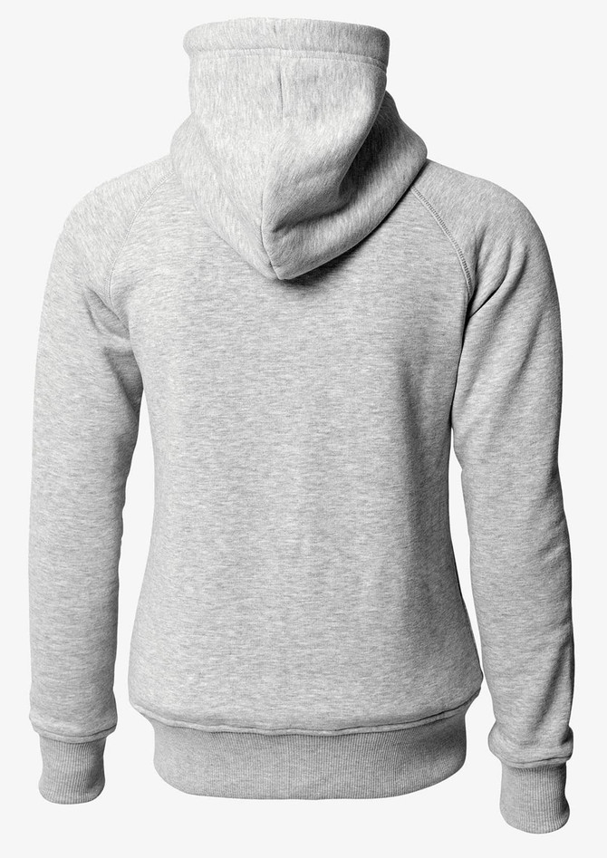 A grey hoodie with a hood and long sleeves, featuring a branded logo on the back.