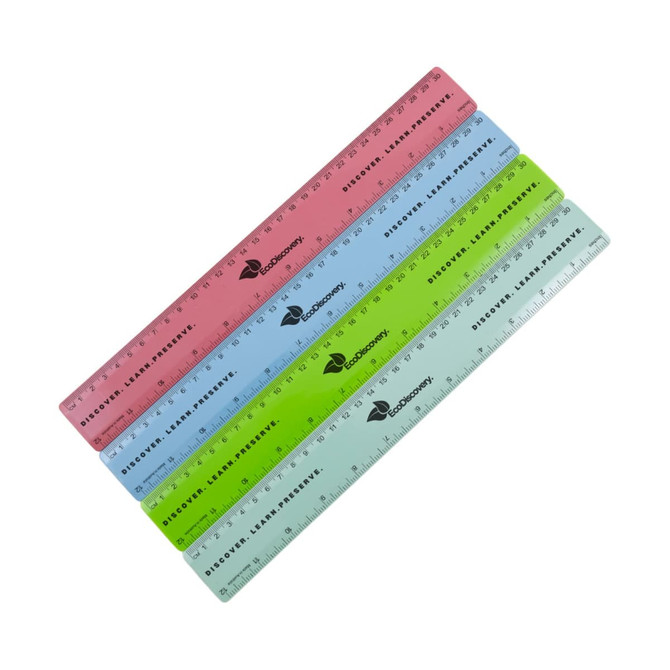 A set of four 30cm rulers in pink, green, blue, and transparent colors, each with a logo. A set of four 30cm rulers in pink, green, blue, and transparent colors, each with a logo.