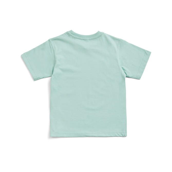 A mint green kid's regular t-shirt with short sleeves and a round neck. The back is plain with no visible logos. A mint green kid's regular t-shirt with short sleeves and a round neck. The back is plain with no visible logos.