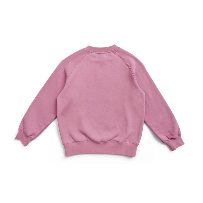 A pink kids' cotton sweatshirt featuring a raglan sleeve design and ribbed cuffs. The back view is showcased.