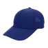 A blue cap with mesh detailing on the sides. It features a curved brim and has a logo.
