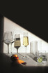 A collection of glass tumblers in various shapes, including tall flutes, set against a dark background with fruit.