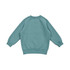 A mint green kids' sweatshirt featuring a crew neck and long sleeves, with ribbed cuffs and hem. It has a logo.