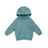 A teal cotton hoodie featuring a kangaroo pocket and a hood, designed for babies. Includes a logo.