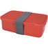 A red lunch box with a grey strap, featuring a rectangular shape and a solid lid. It has a branding logo.