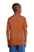 A youth t-shirt in rust orange, featuring a simple design and a logo on the back, worn by a child. A youth t-shirt in rust orange, featuring a simple design and a logo on the back, worn by a child.