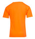 An orange regular T-shirt for kids, featuring a simple design and a plain back. It has a logo on the label. An orange regular T-shirt for kids, featuring a simple design and a plain back. It has a logo on the label.