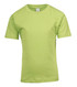 A green regular T-shirt for kids with short sleeves and a branded label at the neck.