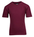 A burgundy kid's regular T-shirt with short sleeves and a round neckline, featuring a branded label. A burgundy kid's regular T-shirt with short sleeves and a round neckline, featuring a branded label.
