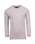 A grey long sleeve T-shirt for kids, featuring a round neck and a branded label at the neckline. A grey long sleeve T-shirt for kids, featuring a round neck and a branded label at the neckline.