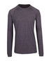 A long sleeve t-shirt in a heather grey colour, featuring raglan sleeves and a logo.