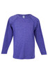 A long sleeve T-shirt in a vibrant purple colour, featuring a round neckline and raglan sleeves. It has a logo.