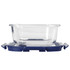 A clear glass lunch box with a navy blue lid and a secure locking mechanism.