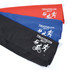 A set of three triathlon triangular flags in red, black, and blue, featuring a logo on each flag.
