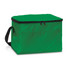 A green cooler bag with a zippered top, featuring a side handle and a front pocket. It has a simple branding logo.
