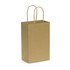 A small brown paper carry bag with two twisted handles. A small brown paper carry bag with two twisted handles.