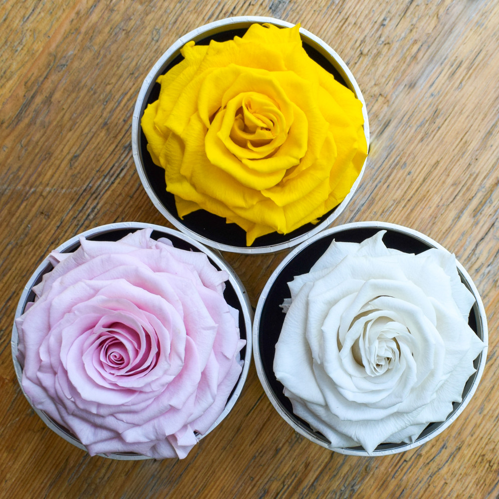 A perfect pick me up that will continue bringing joy for up to a year. These  roses are preserved in a round white box, with acrylic top and offer lasting perfume and color. Treated with environmental friendly & non toxic products, size appx. 4.72". 
