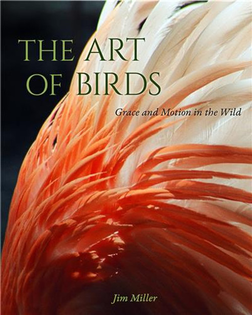 The Art of Birds Grace and Motion in the Wild 