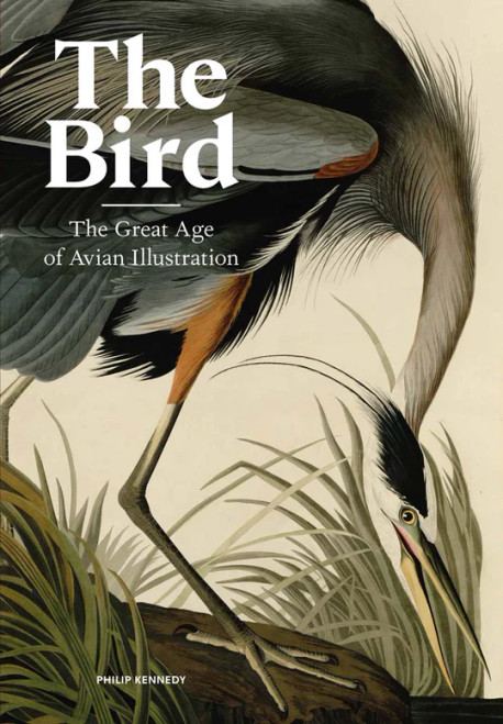 The Bird 
The Great Age of Avian Illustration