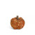 Leaf Pumpkin with Twig Stem 