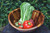 Acacia Wood Salad Bowl