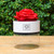 Preserved Rose - Round Box