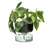 Canopy Self Watering Planter