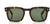 Tom Ford - Dax Sunglasses - Shiny Dark Havana | Green