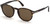 Dante Sunglasses - Dark Havana | Brown