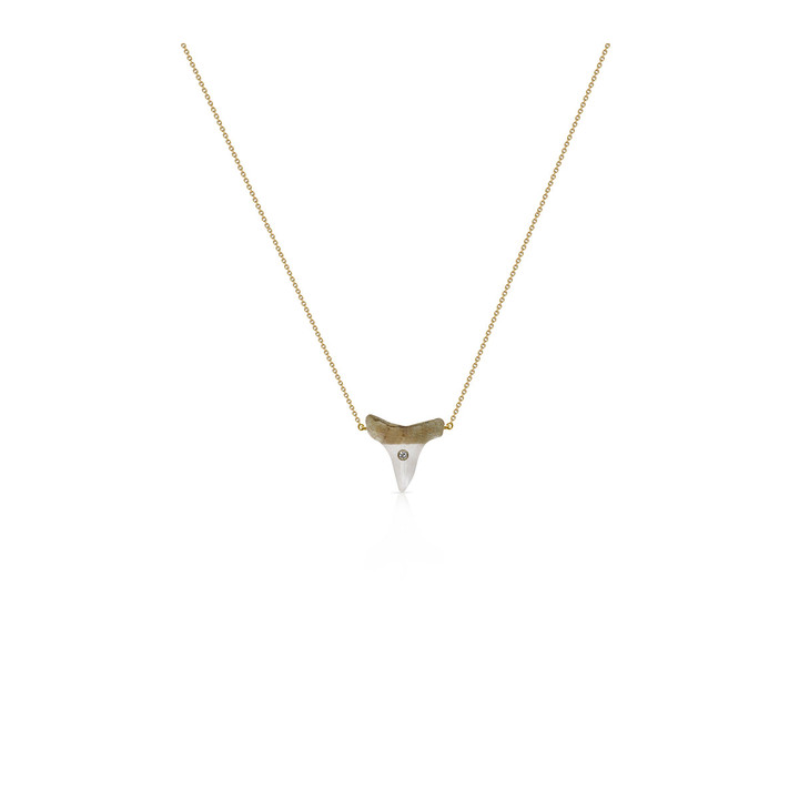 Sharks Tooth Dainty Necklace - 14k