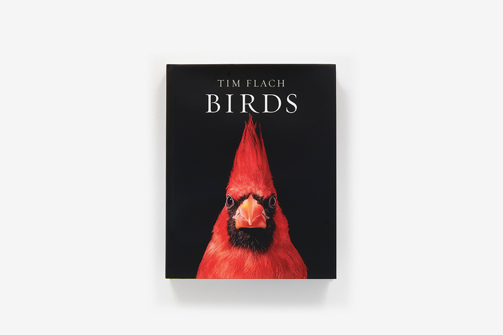 BIRDS  by Tim Flach
