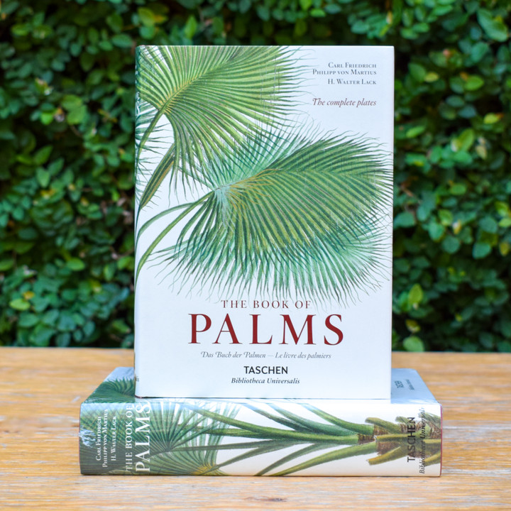 The Book of Palms by Phillip von Martius - Taschen