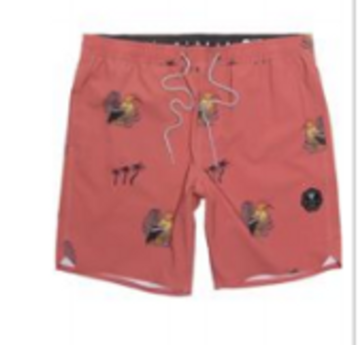 Ecolastic Boardshorts