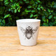The perfect little. cup for every little thing. Fill it with your favorite beverage while dining, use it as a bathroom glass or as pot for your favorite little plant. This cup is sure to make you happy wherever it lives. 

3.5" | 7 oz 

